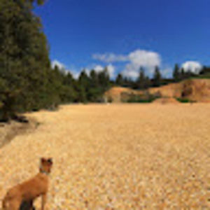 Meet your Posher, Michele